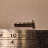 Screw, Tapping, 6-19, 3/4